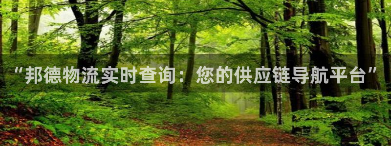 旺财28口：“邦德物流实时查询：您的
