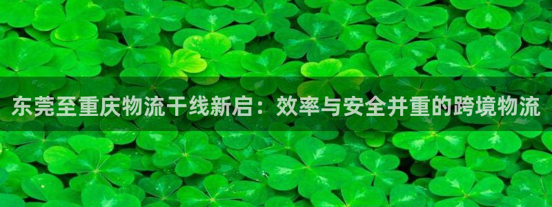 旺财28怎么注册账号和密码：东莞至重