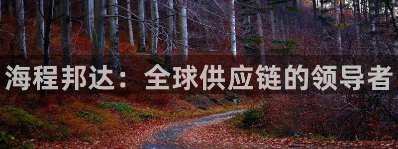旺财28注册链接教程：海程邦达：全球