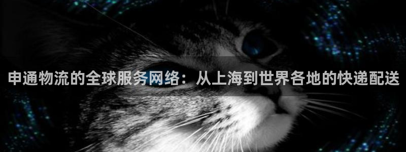 旺财28充值不到账什么原因：申通物流