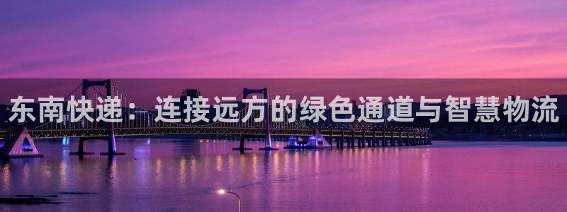 旺财28是正规软件吗：东南快递：连接