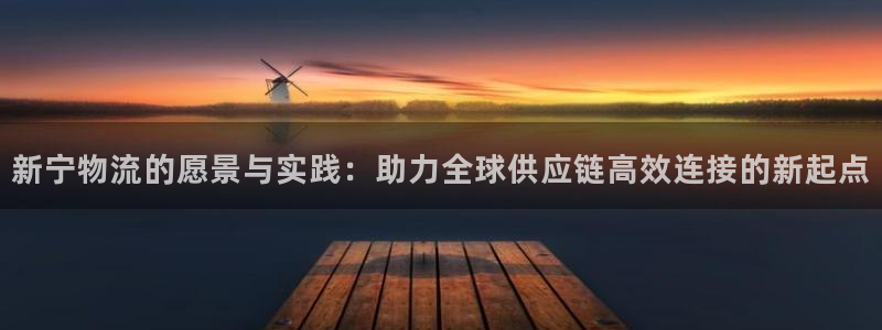 旺财28头像：新宁物流的愿景与实践：