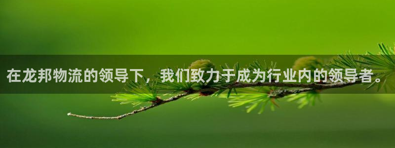 旺财28是什么是赌博吗?：在龙邦物流