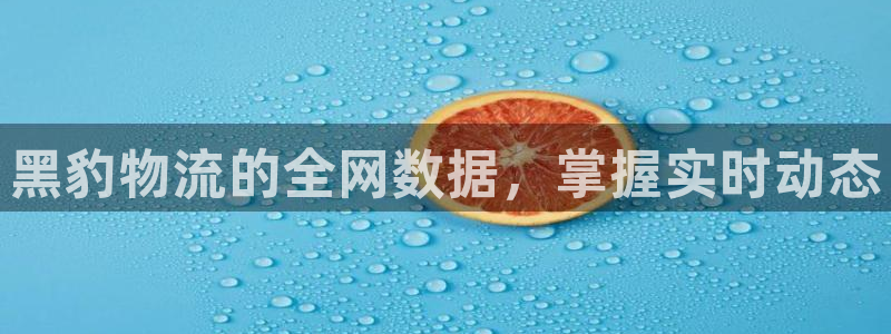 旺财28软件堵什么反什么：黑豹物流的