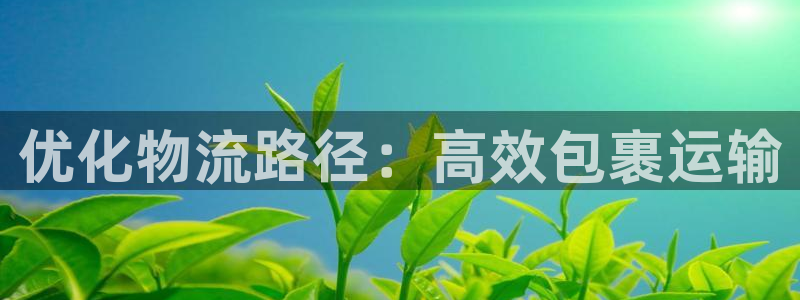 旺财28分分28预测：优化物流路径：高效包裹运输
