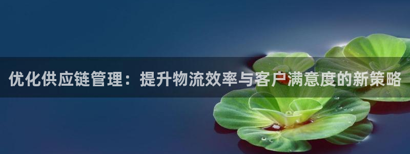旺财28注册链接：优化供应链管理：提