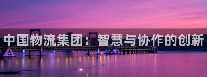 旺财28是南宫旗下的吗：中国物流集团