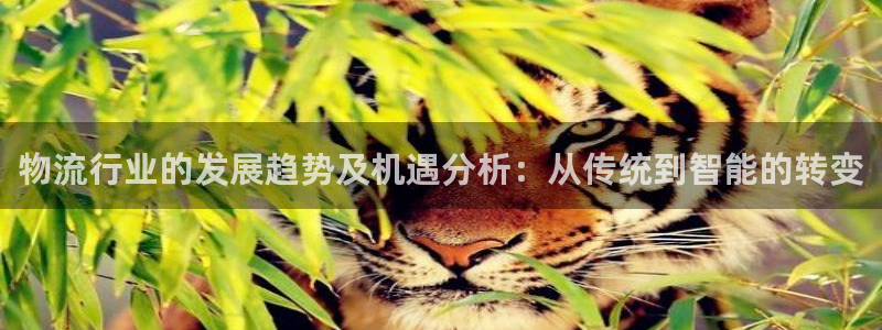 旺财28官网下载加拿大：物流行业的发展趋势及机遇分析：从传统