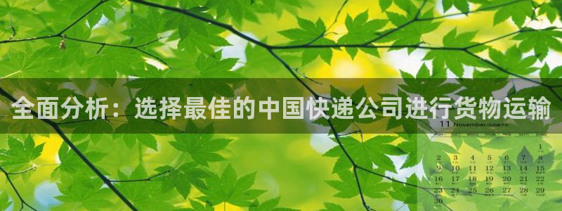 旺财28链接来一个：全面分析：选择最