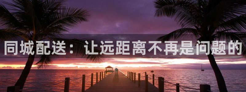 旺财28充值不处理怎么办：同城配送：