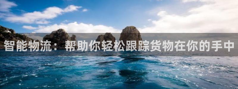 旺财28那个才是充值账号：智能物流：