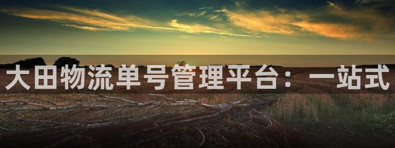 旺财28ip被限制怎么解决：大田物流