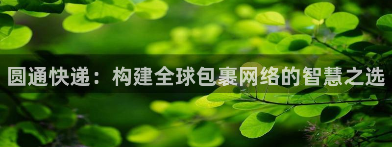 旺财28官方网站是多少：圆通快递：构