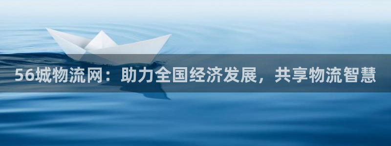 旺财28机器人是什么软件：56城物流