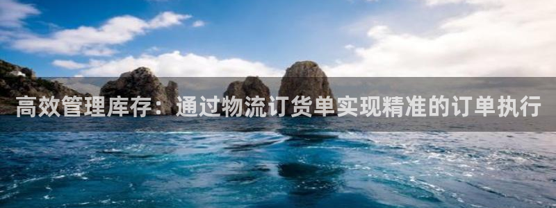 旺财28加拿大技巧：高效管理库存：通
