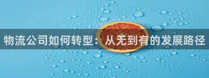 旺财28官网平台：物流公司如何转型：从无到有的发展路径