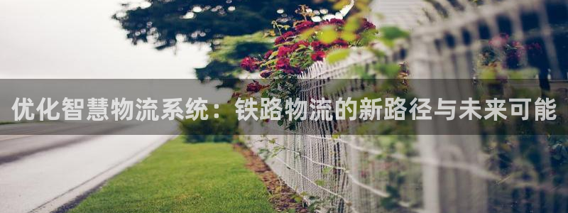 旺财28登录网：优化智慧物流系统：铁