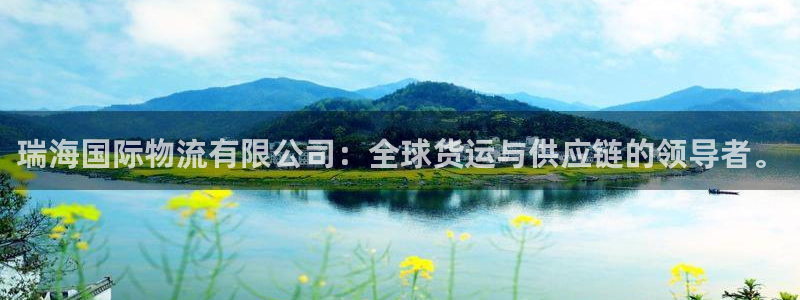 旺财28在线预测官网：瑞海国际物流有
