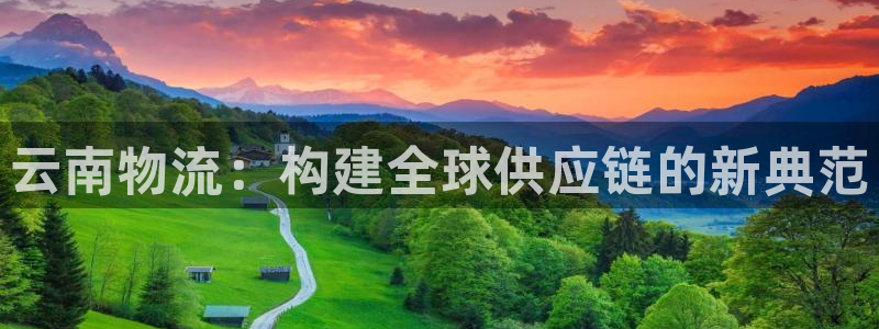 旺财28电子：云南物流：构建全球供应