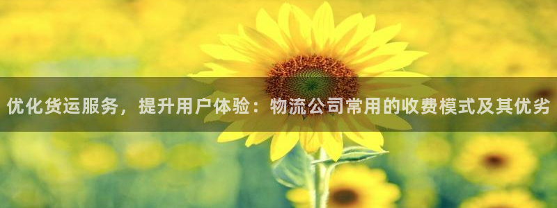 旺财28官网入口pc预测：优化货运服
