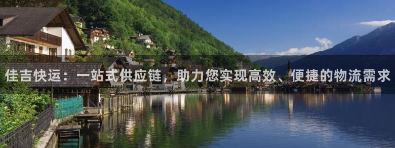 旺财28大神预测:佳吉快运:一站式供