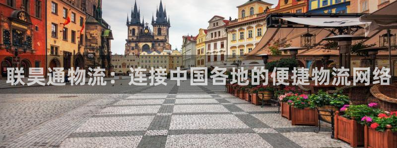 旺财28为什么没有赢过一次：联昊通物