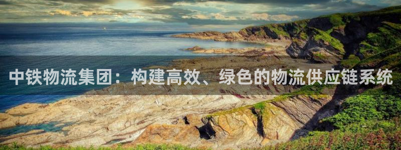 旺财28旗下：中铁物流集团：构建高效