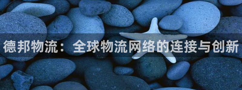 旺财28官方官网：德邦物流：全球物流