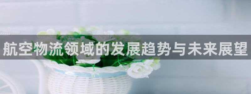 旺财28赌博被抓：航空物流领域的发展
