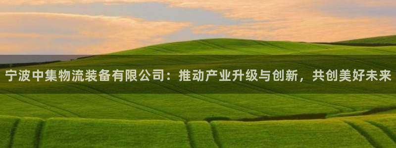 旺财28官网入口pc正版:宁波中集物