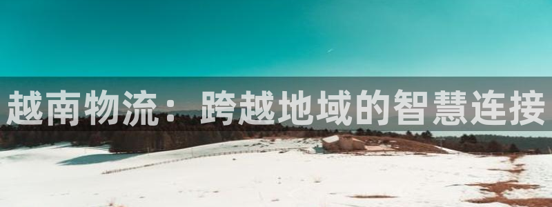 旺财28模拟器：越南物流：跨越地域的智慧连接