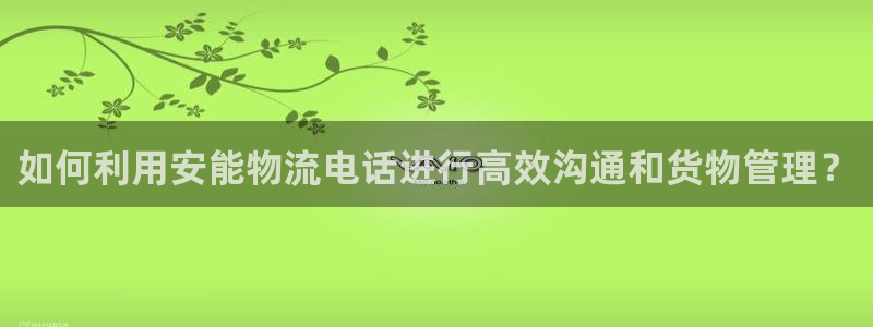 旺财28游戏官网版:如何利用安能物流