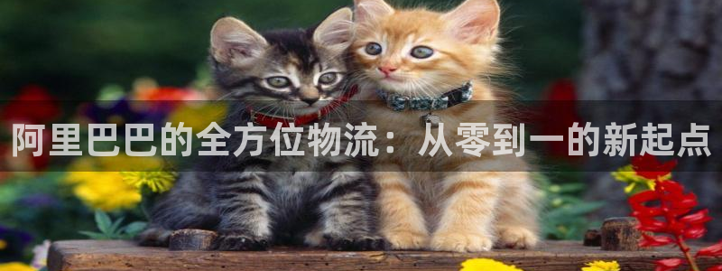 旺财28赌博软件正规吗:阿里巴巴的全