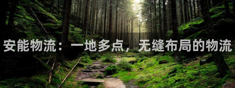 旺财28app注册地址：安能物流：一地多点，无缝布局的物流