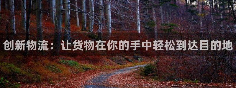 旺财28ccm官网版：创新物流：让货