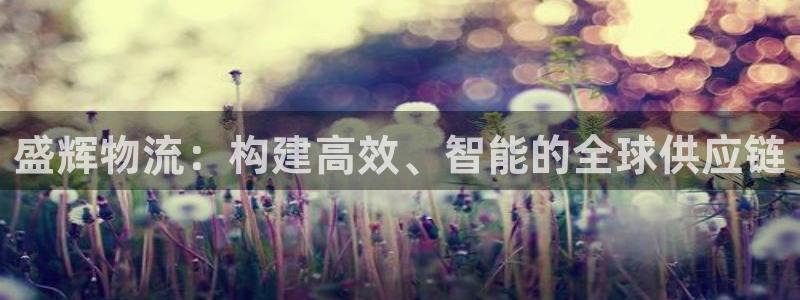 旺财28初始密码在哪里修改的