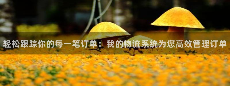 旺财28模拟器：轻松跟踪你的每一笔订